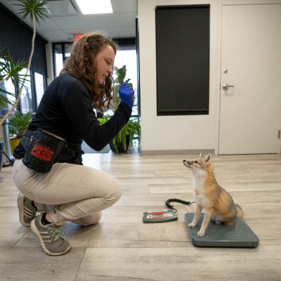 Animal Wellness Experience | Columbus Zoo and Aquarium